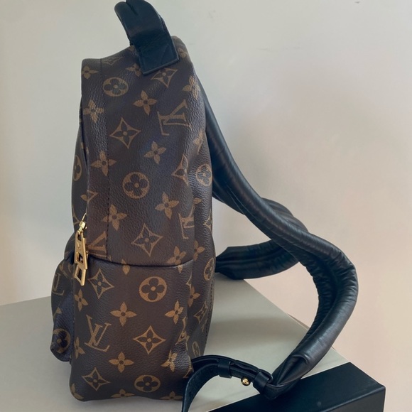 Louis Vuitton Palm Springs PM Backpack - Picture 6 of 10